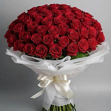Букет 101 Красная роза Блэк Мэджик в Чиверево