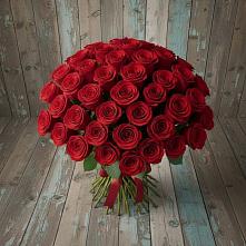 Букет 55 Красных роз Фридом #REPLACE_PRED# Чиверево