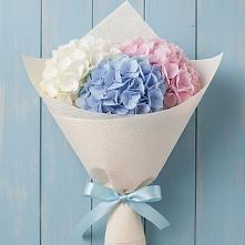 Букет цветов из:  Гортензия в Чиверево