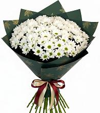 Букет цветов из:  Хризантемы #REPLACE_PRED# Чиверево