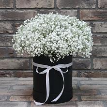 Цветочная композиция из Гипсофила в шляпной коробке в Чиверево