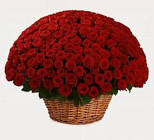 Премиум букет из: Розы #REPLACE_PRED# Чиверево