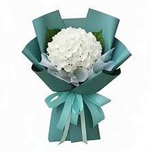 Букет цветов из:  Гортензия в Чиверево